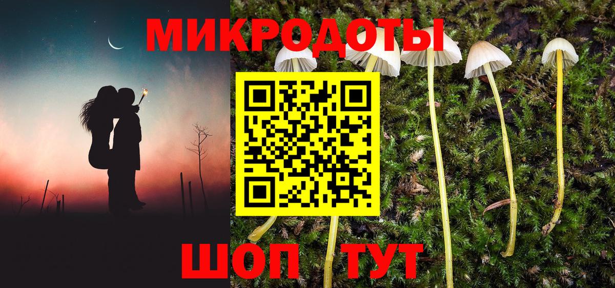 Галлюциногенные грибы MAGIC MUSHROOMS Ревда