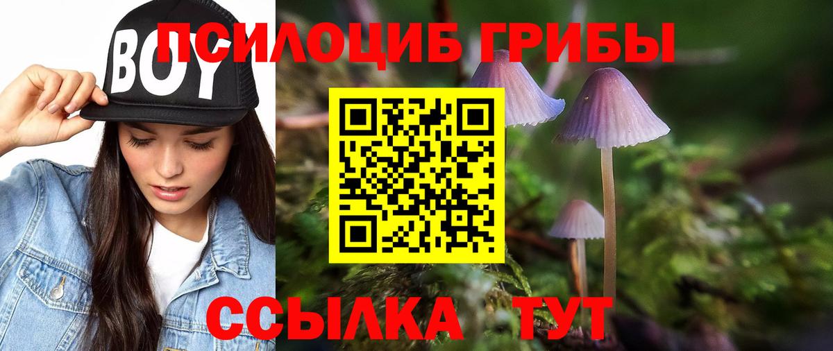 Галлюциногенные грибы мицелий  Вход с VPN  Ревда 